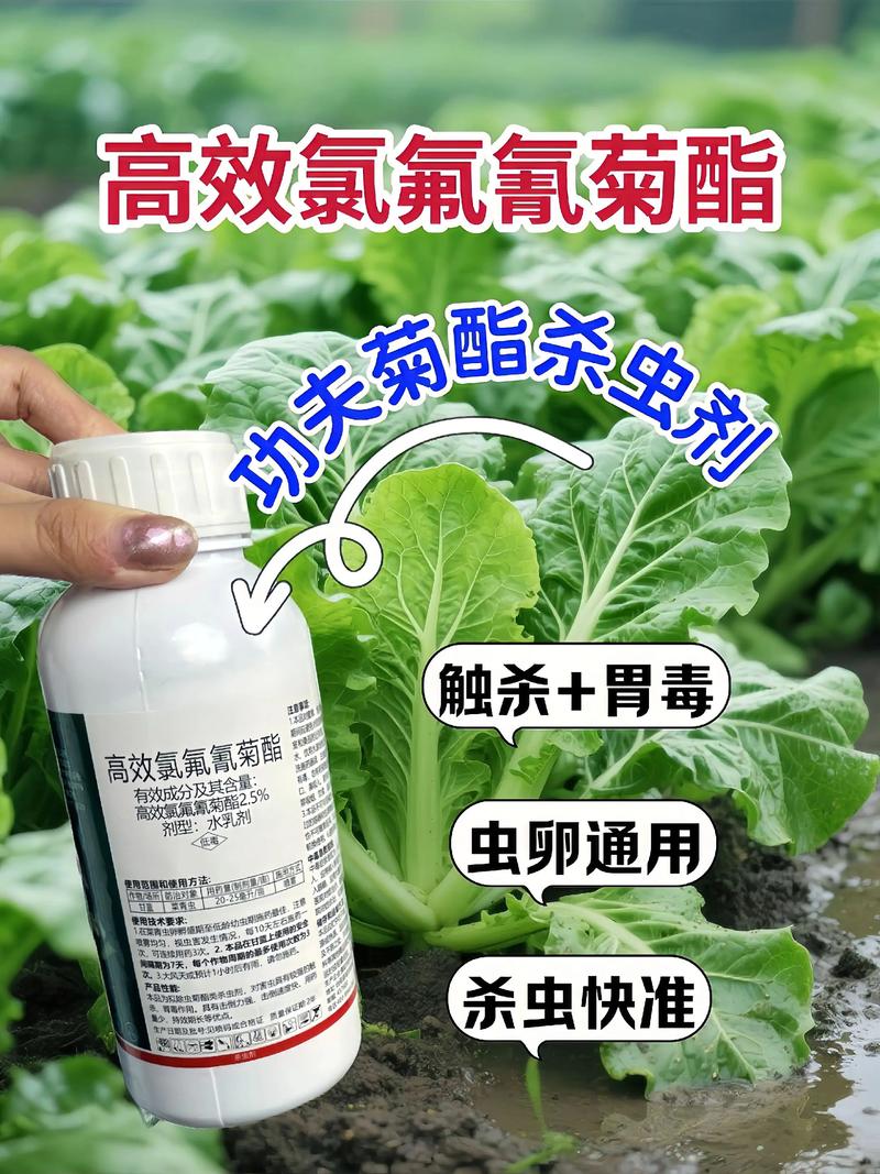 红河代生中心:农药对供卵代生妈妈的危害